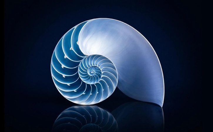 Core Values Card Image